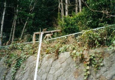 輪行写真