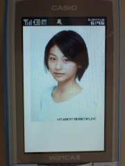 W21CAII写真